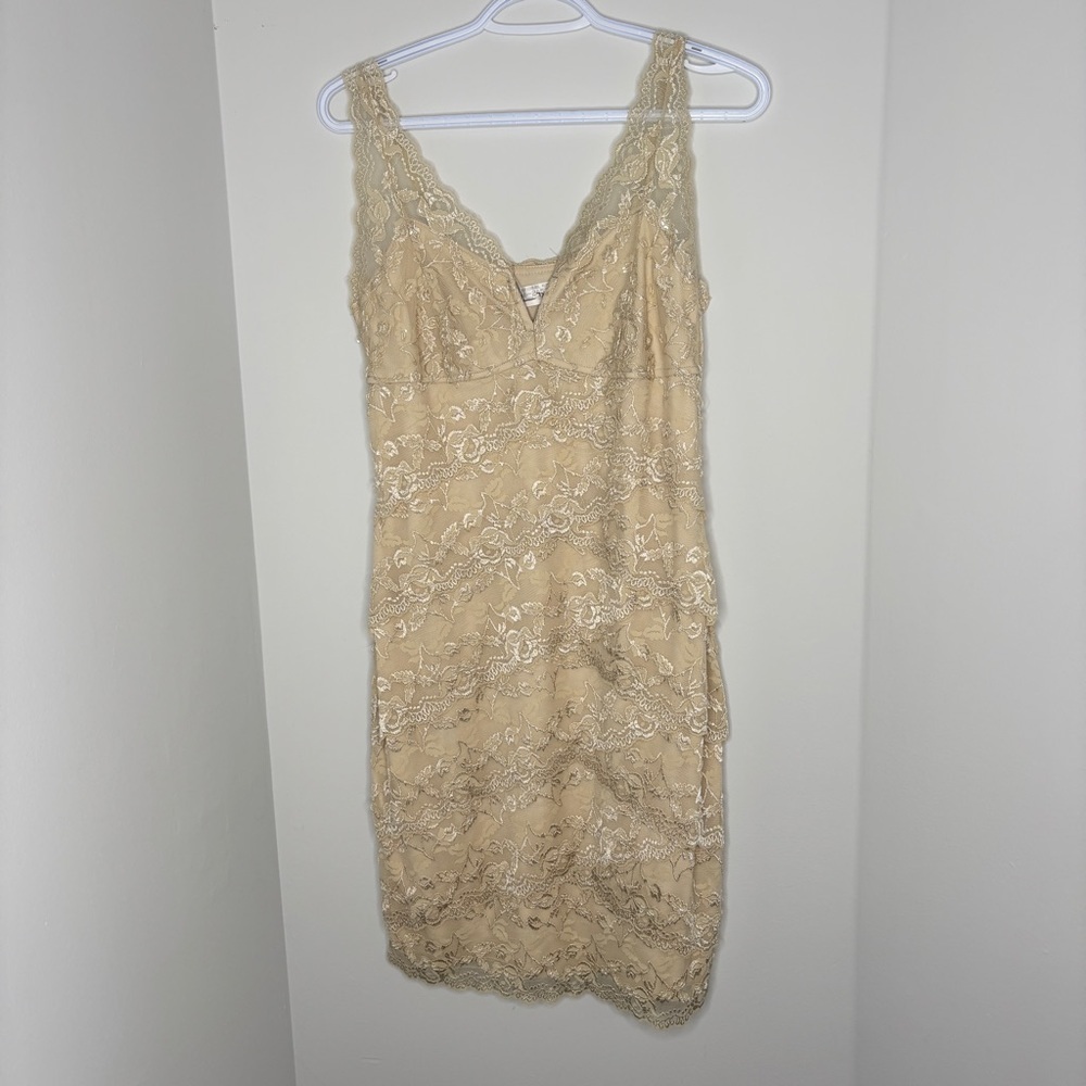 Vintage Beaded Cream Lace Dress - Picture 6 of 12
